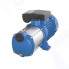 Насос поверхностный Aquario AMH-100-6P