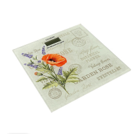 Весы напольные GELBERK GL-204