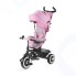 Велосипед трехколесный Kinderkraft Aston Pink