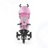 Велосипед трехколесный Kinderkraft Aston Pink