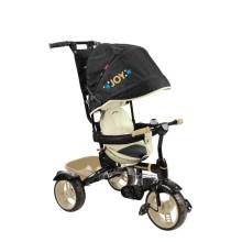 Трехколесный велосипед Nika ВД4/6 (черный с бежевым)