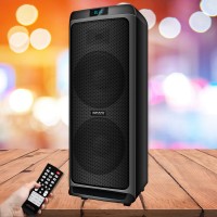 Акустическая система GINZZU GM-205