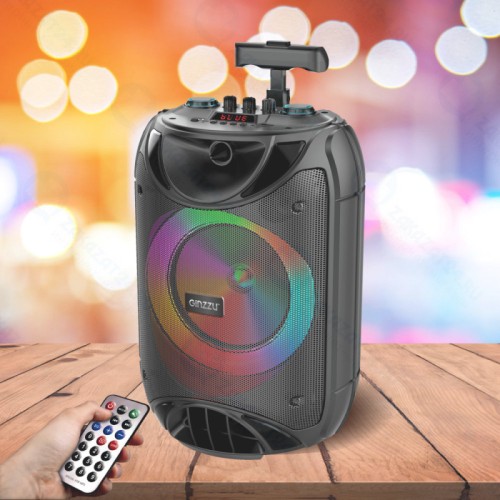 Акустическая система GINZZU GM-223