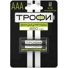 Аккумуляторные батареи Трофи HR03-2BL 650mAh