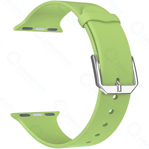 Ремешок LYAMBDA Alcor для Apple Watch 42/44mm Green (DS-APS08C-44-GN)