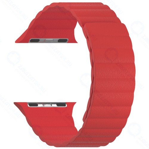 Ремешок LYAMBDA Pollux для Apple Watch 42/44mm Red (DSP-24-44-RD)