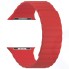 Ремешок LYAMBDA Pollux для Apple Watch 42/44mm Red (DSP-24-44-RD)