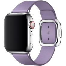 Ремешок Apple 40mm Lilac Modern Buckle Large (MV6W2ZM/A) Ремешок Apple 40mm Lilac Modern Buckle Large (MV6W2ZM/A)