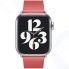 Ремешок Apple для Apple Watch 40mm Scarlet Modern Buckle Small (MY662ZM/A)