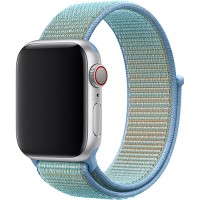 Ремешок TFN Nylon Band для Apple Watch 38/40мм, голубая хризантема (TFN-WA-AWNB40C59)
