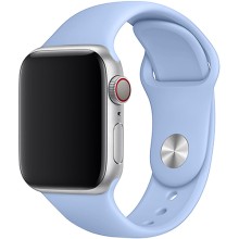 Ремешок TFN Silicone Band для Apple Watch 38/40мм, светло-голубой (TFN-WA-AWSB40C31)