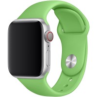 Ремешок TFN Silicone Band для Apple Watch 38/40мм, зеленый (TFN-WA-AWSB40C32)