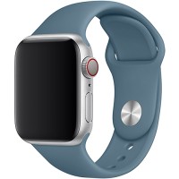 Ремешок TFN Silicone Band для Apple Watch 38/40мм, голубой лед (TFN-WA-AWSB40C40)