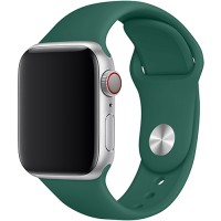 Ремешок TFN Silicone Band для Apple Watch 38/40мм, зеленая сосна (TFN-WA-AWSB40C42)