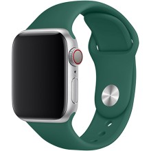 Ремешок TFN Silicone Band для Apple Watch 42/44мм, зеленая сосна (TFN-WA-AWSB44C42)