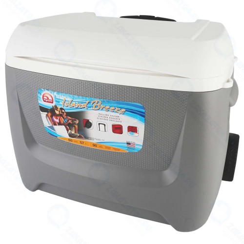 Изотермический контейнер Igloo 00034124