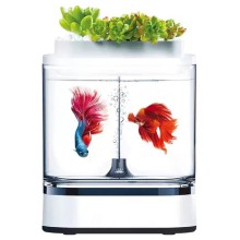 Акваферма Xiaomi Geometry Mini Lazy Fish Tank Pro (C300) Акваферма Xiaomi Geometry Mini Lazy Fish Tank Pro (C300)