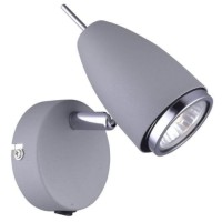 Светильник настенный Arte Lamp Regista (A1966AP-1GY)