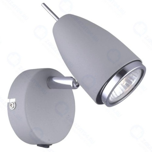 Светильник настенный Arte Lamp Regista (A1966AP-1GY)