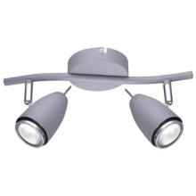 Светильник настенный Arte Lamp Regista (A1966AP-2GY)