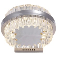 Светильник настенный DELIGHT-COLLECTION WG6100