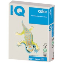 Цветная бумага для офиса IQ-COLOR А4, 160 г/м, 250 листов, тренд, серая (110824)