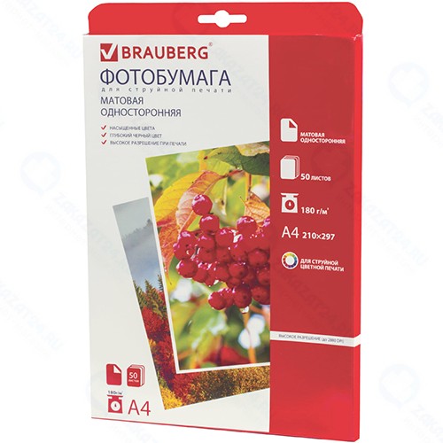 Фотобумага Brauberg А4, 180г/м2, односторонняя, матовая (362880)
