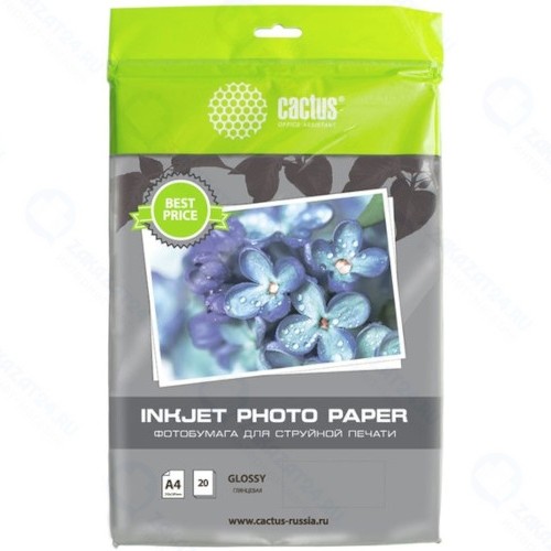Фотобумага Cactus CS-GA413020ED