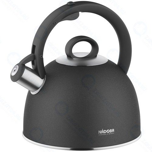 Чайник NADOBA Anesa, 2,9 л (731201)