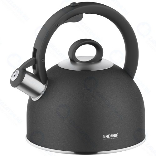 Чайник NADOBA Anesa, 2,5 л (731202)