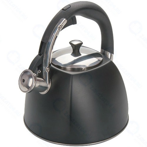Чайник со свистком REGENT-INOX 93-TEA-31 Tea, 3 л