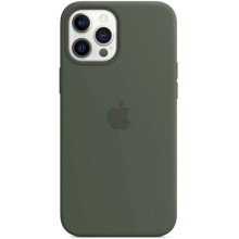 Чехол Apple Silicone MagSafe для iPhone 12 Pro Max Silicone Cypress Green (MHLC3ZE/A) Чехол Apple Silicone MagSafe для iPhone 12 Pro Max Silicone Cypress Green (MHLC3ZE/A)