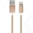 Кабель InterStep Apple Lightning - USB 2.0 Nylon, 1 м, Gold