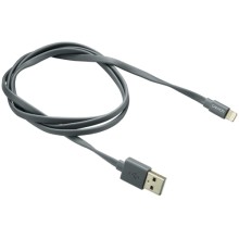 Кабель Canyon Lightning-USB 2.0 MFI 1 м, Grey (CNS-MFIC2DG)