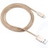 Кабель Canyon Lightning-USB 2.0 MFI 1 м, Gold (CNS-MFIC3GO)
