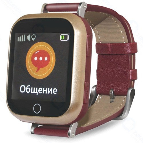 Смарт-часы Ginzzu GZ-521 Brown