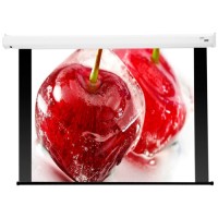 Экран для видеопроектора DRAPER Baronet AV 1:1 (130029B)