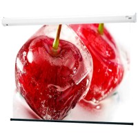 Экран для видеопроектора DRAPER Baronet HDTV 9:16 (130088B)