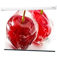 Экран для видеопроектора DRAPER Baronet HDTV 9:16 (130090B)