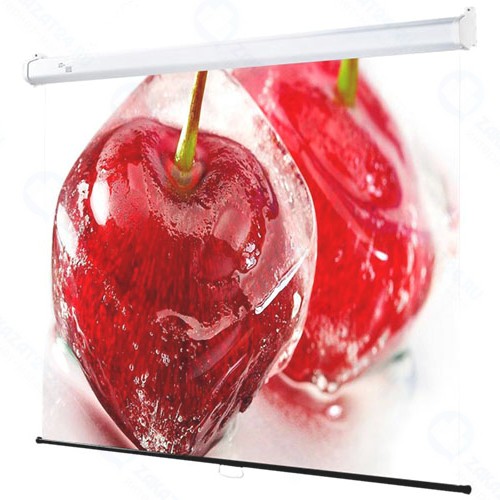 Экран для видеопроектора DRAPER Luma AV 1:1 XT1000E MW (207001B)