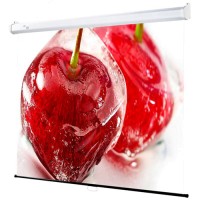 Экран для видеопроектора DRAPER Luma NTSC 3:4 XT1000E MW (207009B)