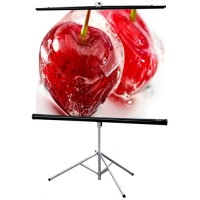 Экран для видеопроектора DRAPER Consul AV 1:1 XT1000E MW (216001B)