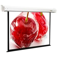 Экран для видеопроектора Digis DSEM-4303
