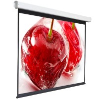 Экран для видеопроектора Digis Electra-F, 4:3, 150