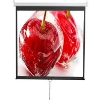 Проекционный экран Digis Optimal-D, 1:1, 112