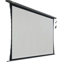 Экран для проектора Cactus Professional Tension Motoscreen CS-PSPMT-149x265