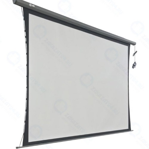 Экран для проектора Cactus Professional Tension Motoscreen CS-PSPMT-149x265