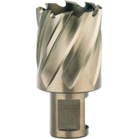 Фреза для сверлильного станка на магните Metabo 13х30 мм, 19 мм (626501000)