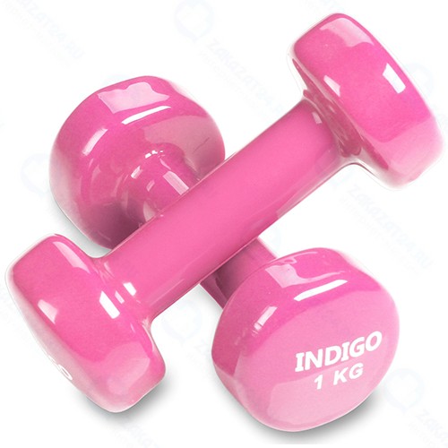 Гантели обливные Indigo 1 кг, с виниловым покрытием, розовые, 2 шт (92005 IR)