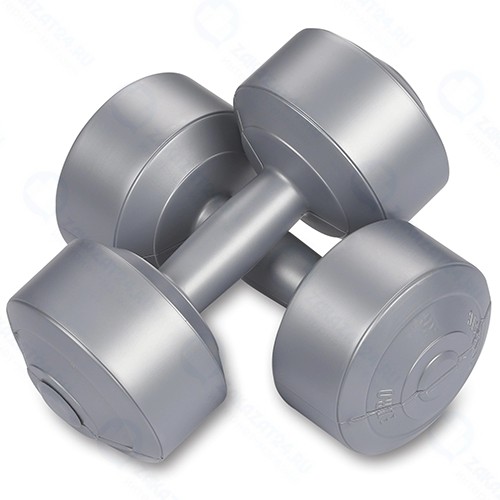 Гантели обливные Indigo 4 кг, с виниловым покрытием, серый металлик, 2 шт (EK-212)